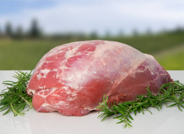 Bovino Noce o Rosetta